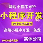 阜陽正規(guī)公司精品站服務(wù)與軟件外包服務(wù)解析